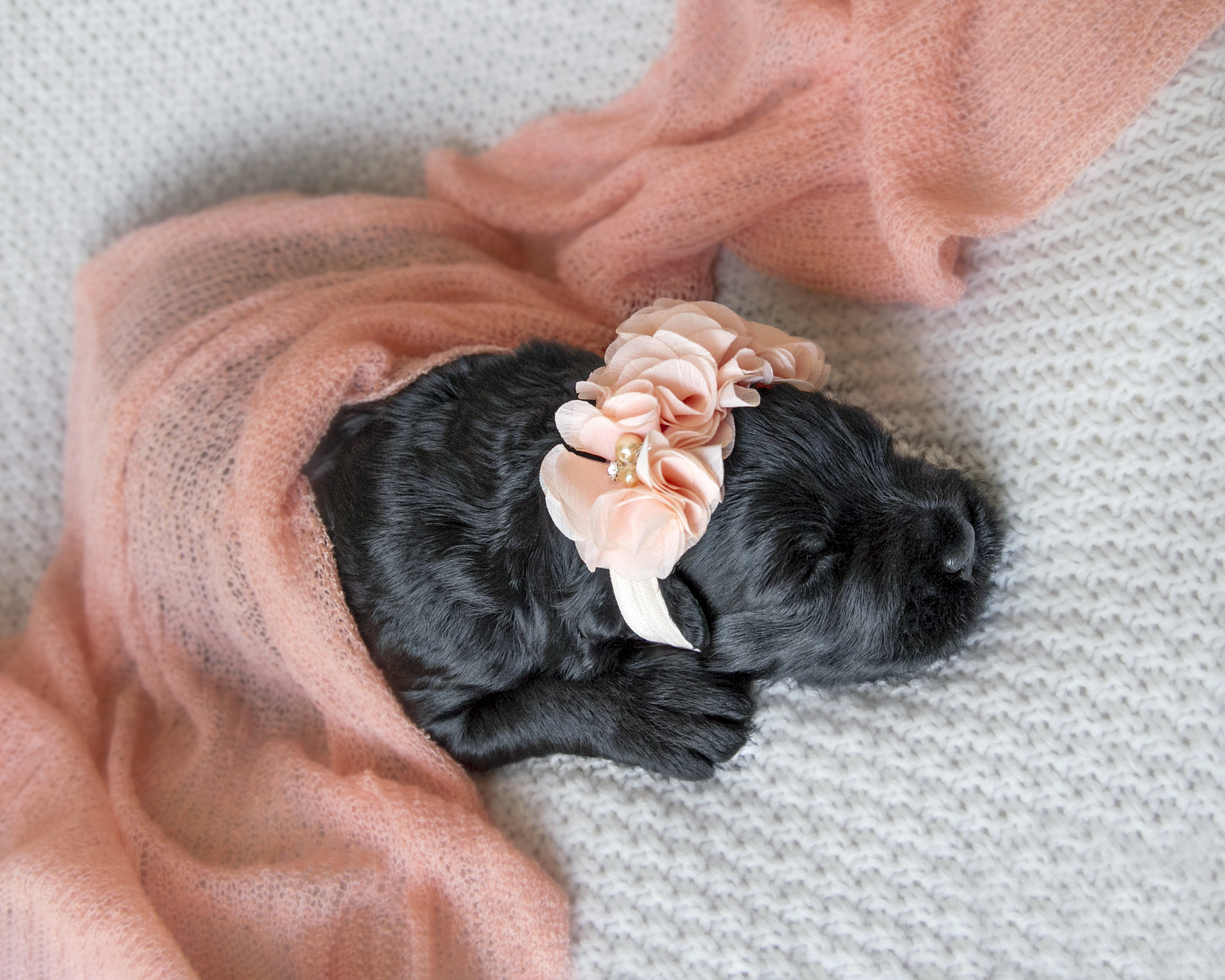 Slideshow sample 1